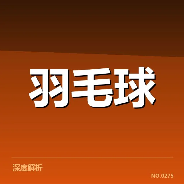 国际赛事裁判确认的判罚事实
